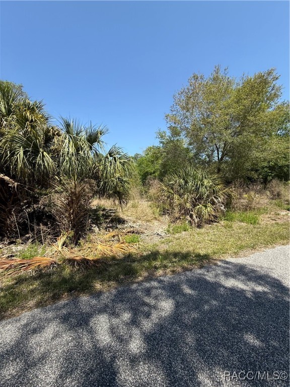 9599 N Cacalia Drive, Crystal River, Florida image 4