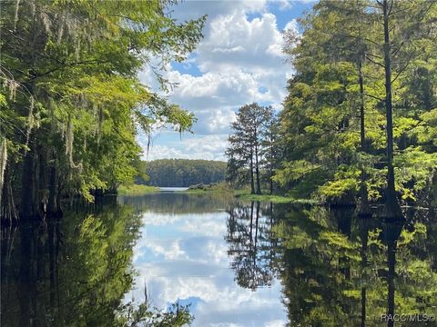 10597 & 10601 E Turtle Lane Floral City FL 34436