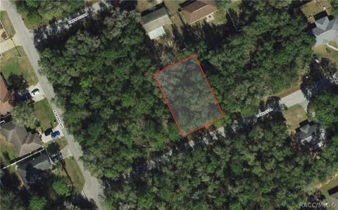 Vacant Land For Sale - 3551 E Baxley Place<br/> Inverness, FL 34453
