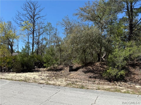 Vacant Land For Sale - 10762 N Moreno Drive<br/> Dunnellon, FL 34433
