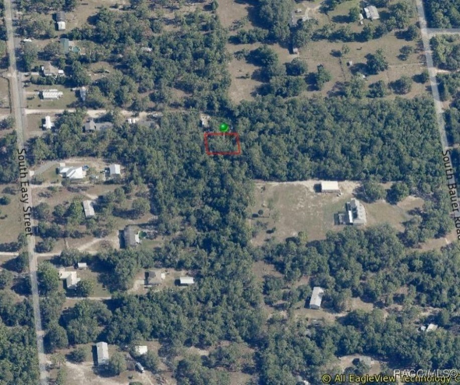 1133 W Cushman Court, Lecanto, Florida image 1