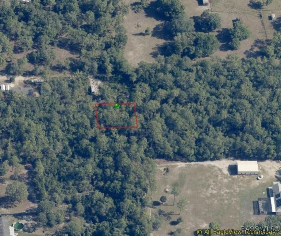 1133 W Cushman Court, Lecanto, Florida image 2