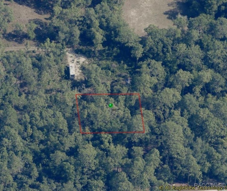1133 W Cushman Court, Lecanto, Florida image 3