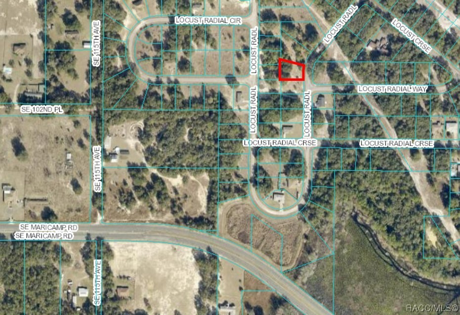 Lot 17 Locust Radial, Ocala, Florida image 2