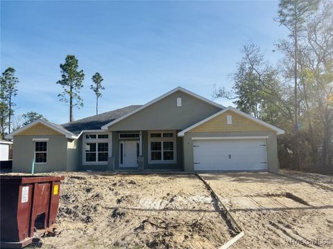 A home in Citrus Springs
