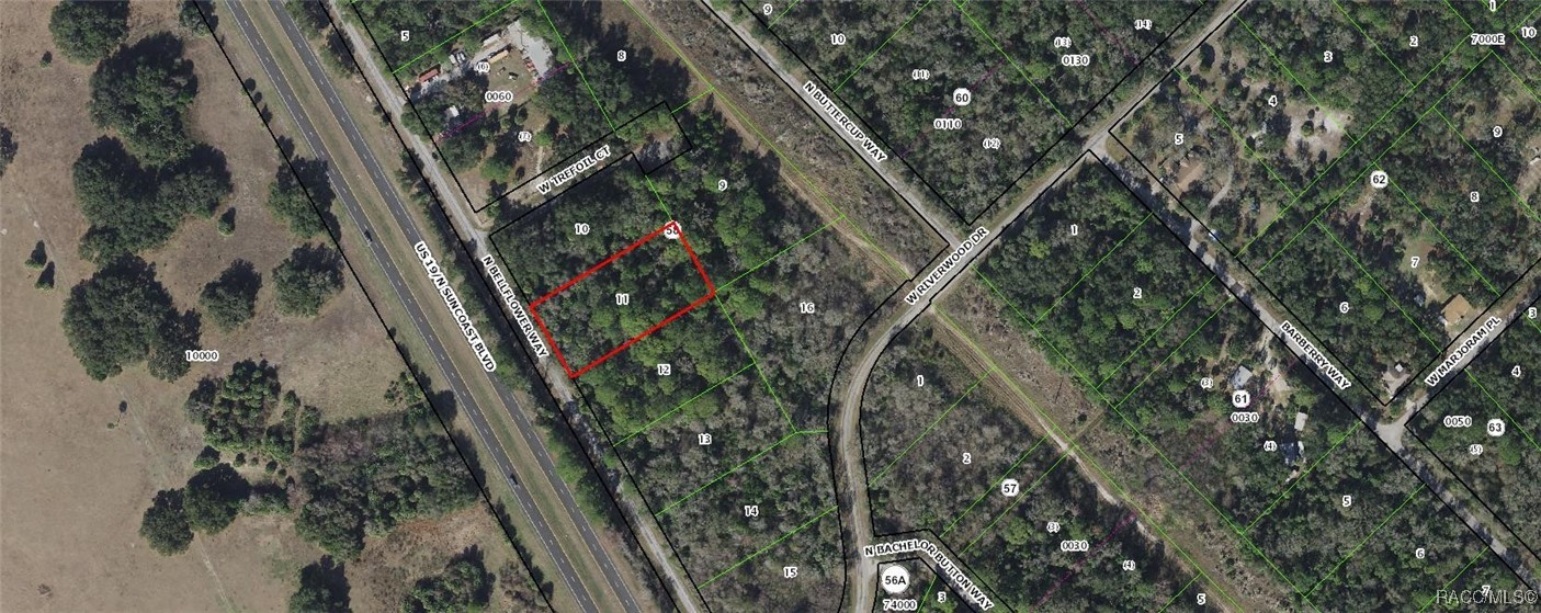 8705 N Bellflower Way, Crystal River, Florida image 2