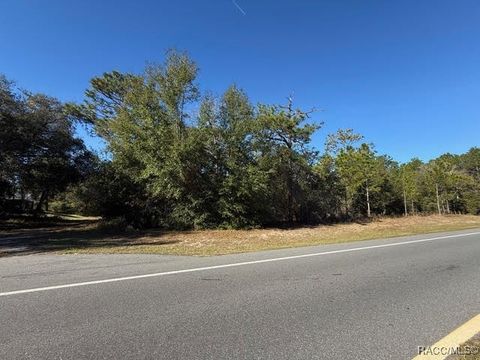 Vacant Land For Sale - 7220 N Deltona Boulevard<br/> Citrus Springs, FL 34434
