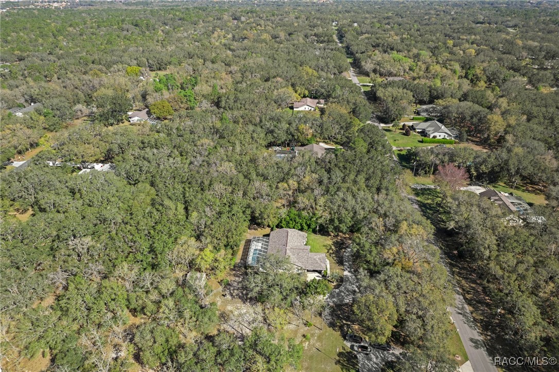 118 N Highview Avenue, Hernando, Florida image 43