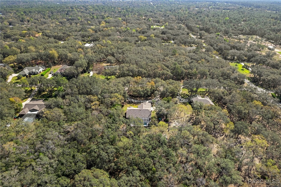 118 N Highview Avenue, Hernando, Florida image 44