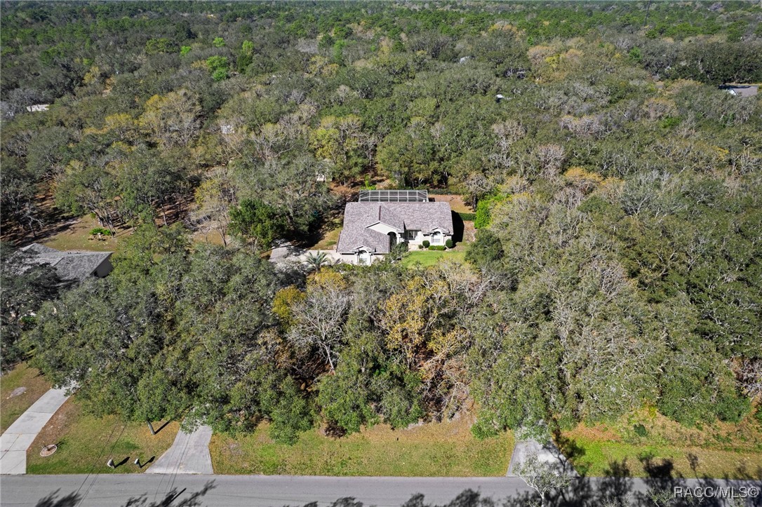 118 N Highview Avenue, Hernando, Florida image 42