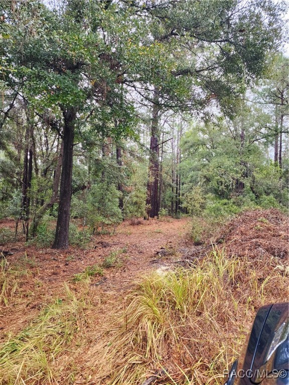 10167 N Booty Terrace, Dunnellon, Florida image 2