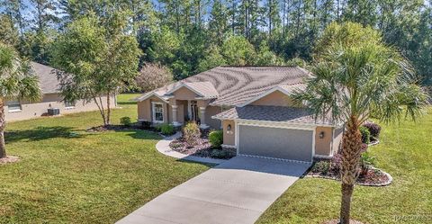 11845 N Bluff Cove Path Dunnellon FL 34434