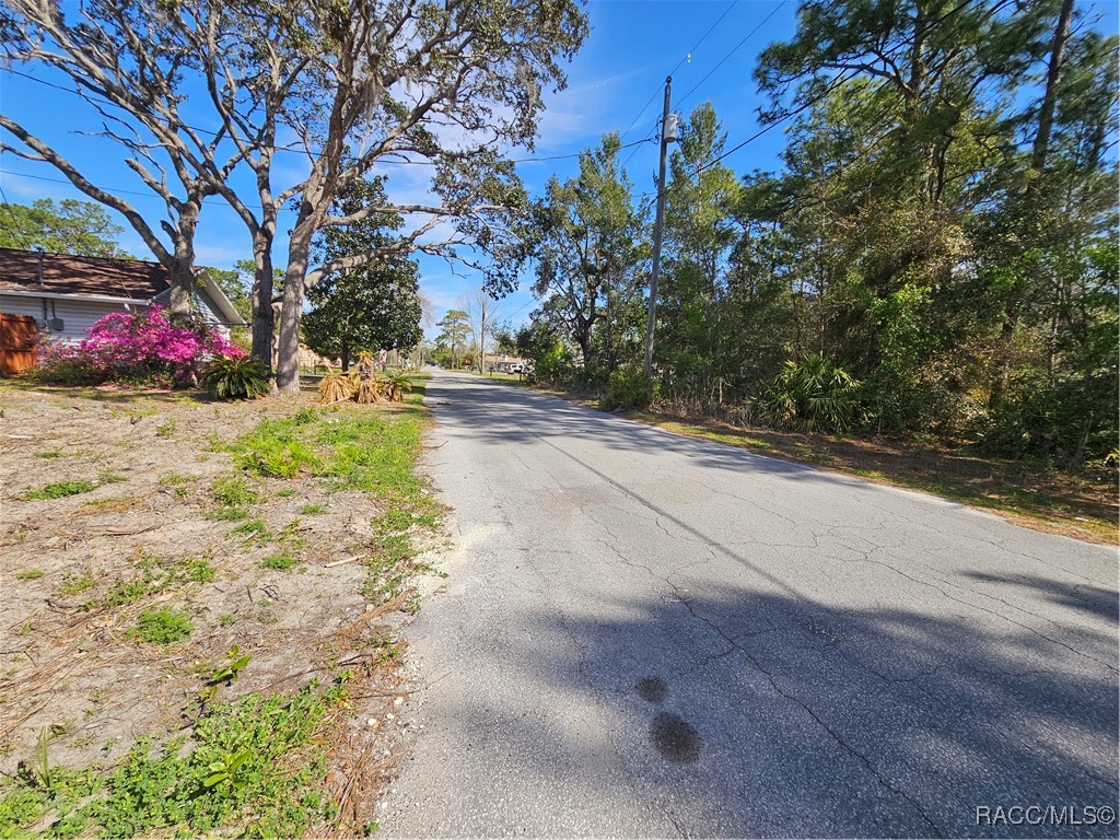 5342 S Isabel Terrace, Homosassa, Florida image 12