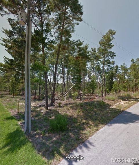 66 Grass Street Homosassa FL 34446