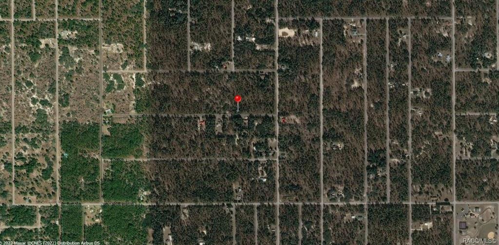 Lot 36 SW Huckle Berry Lane, Dunnellon, Florida image 4