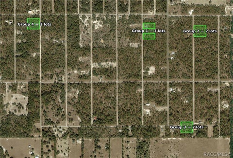 Vacant Land For Sale - 0000 SE 134th Court<br/> Levy County, Dunnellon, FL 34431