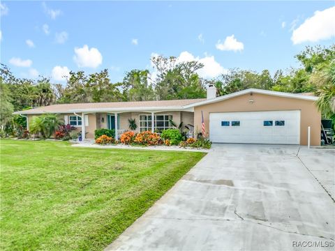 2160 N Watersedge Drive Crystal River FL 34429