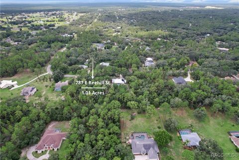 Vacant Land For Sale - 787 E Reehill Street<br/> Lecanto, FL 34461