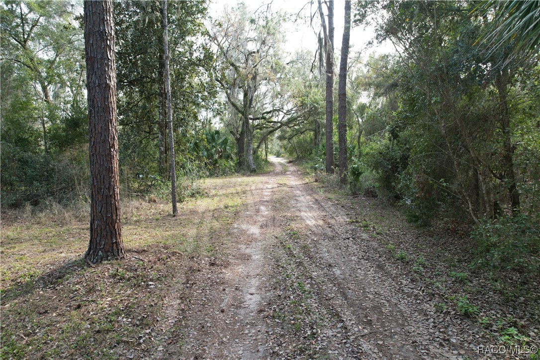 770 N Lori Point, Inverness, Florida image 11