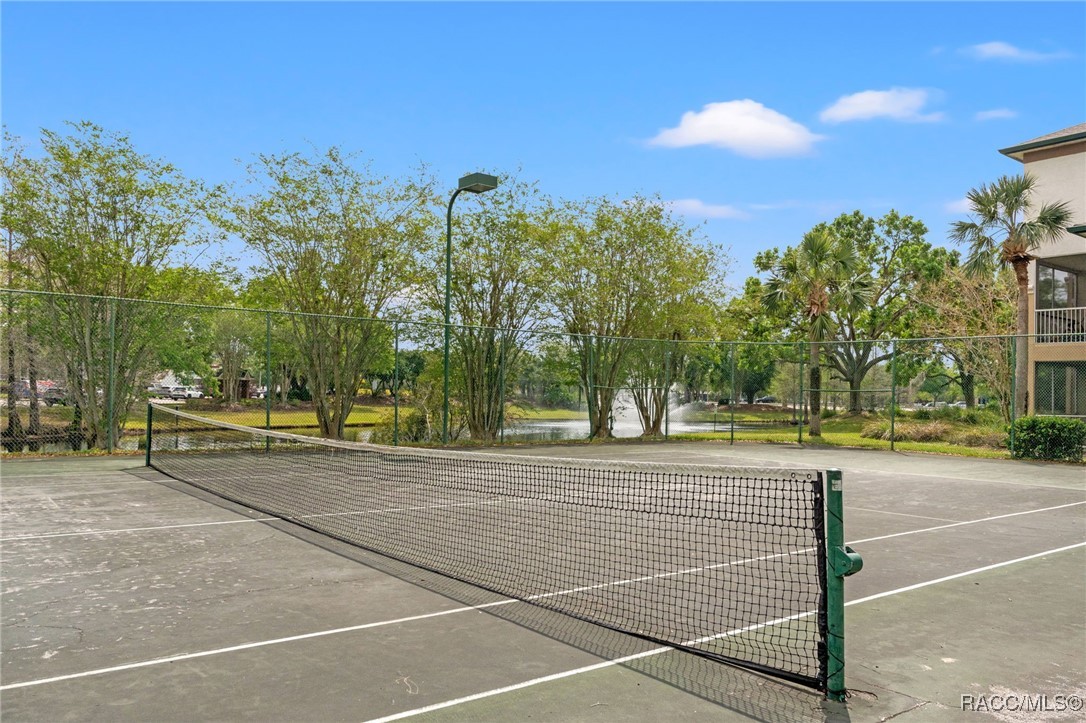 17108 Carrington Park Drive #711, Tampa, New York image 13