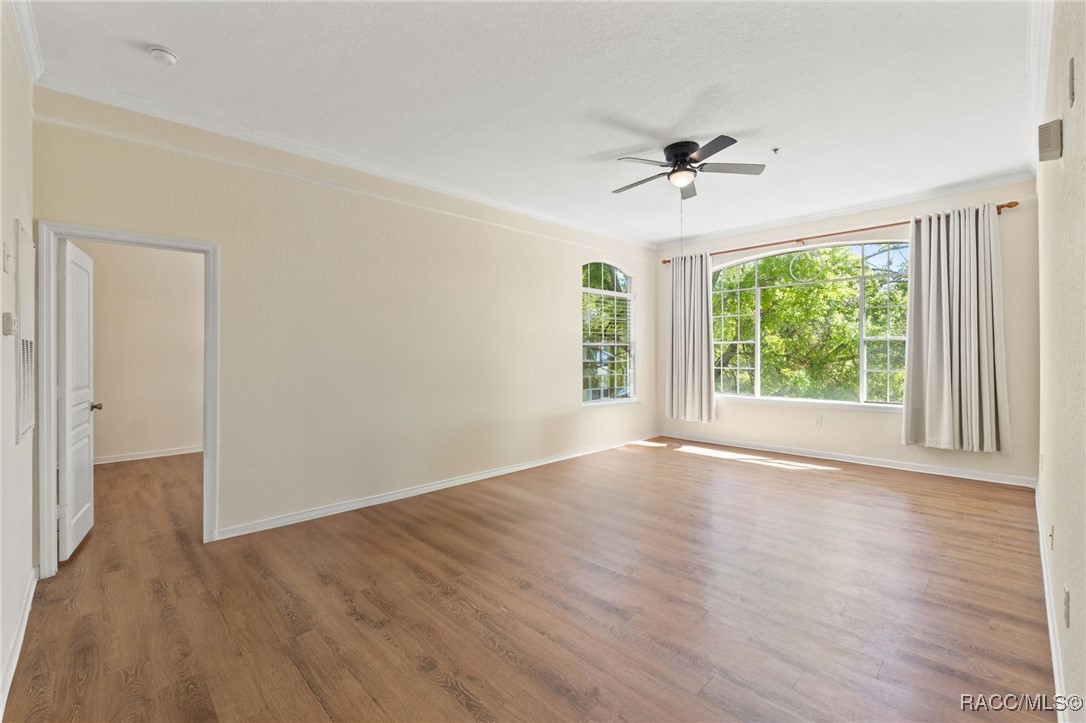 17108 Carrington Park Drive #711, Tampa, New York image 20