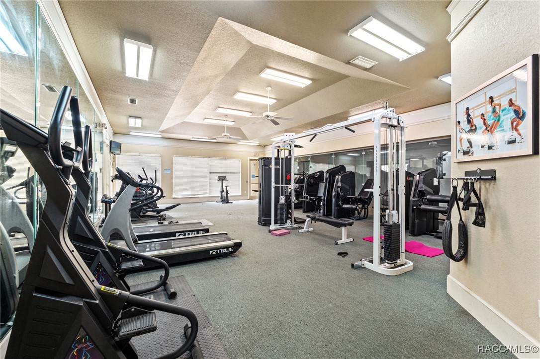 17108 Carrington Park Drive #711, Tampa, New York image 12