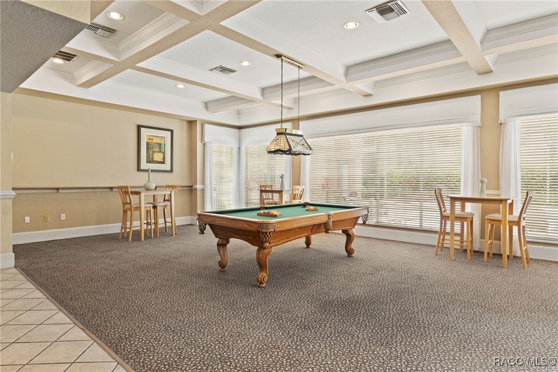 17108 Carrington Park Drive #711, Tampa, New York image 11