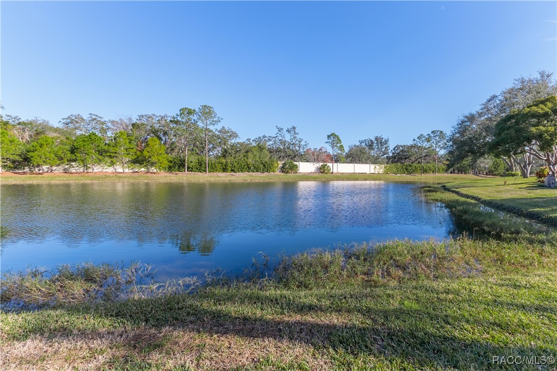 8111 Sugarbush Drive, Spring Hill, Florida image 47