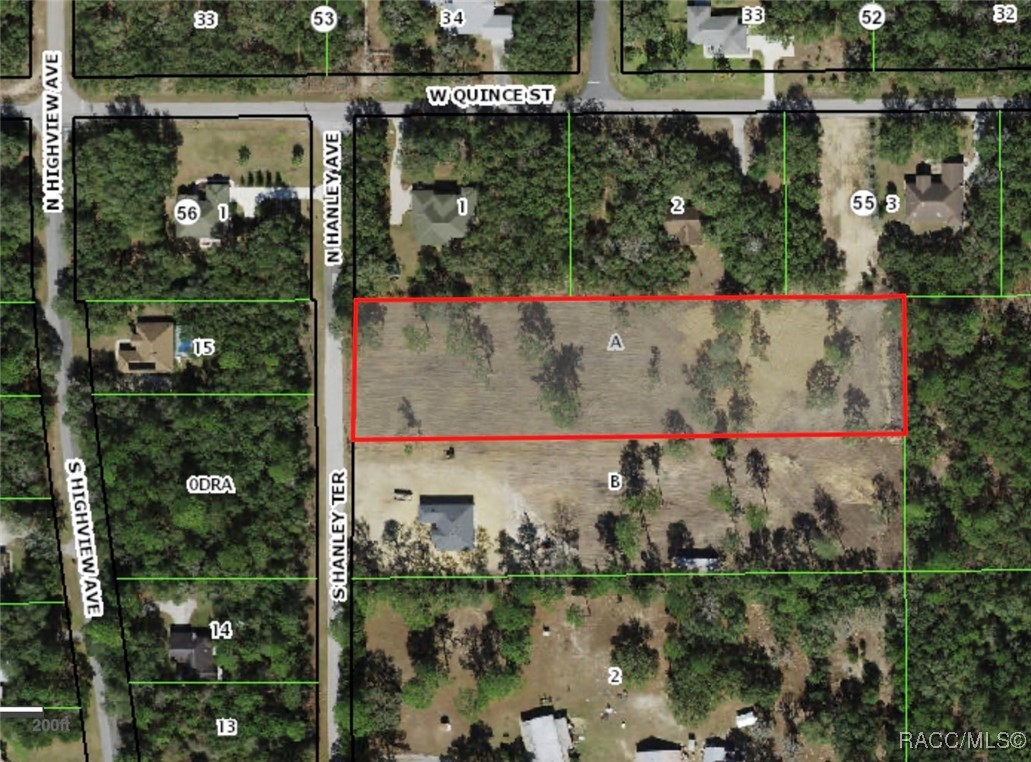 31 S Hanley Terrace, Lecanto, Florida image 20