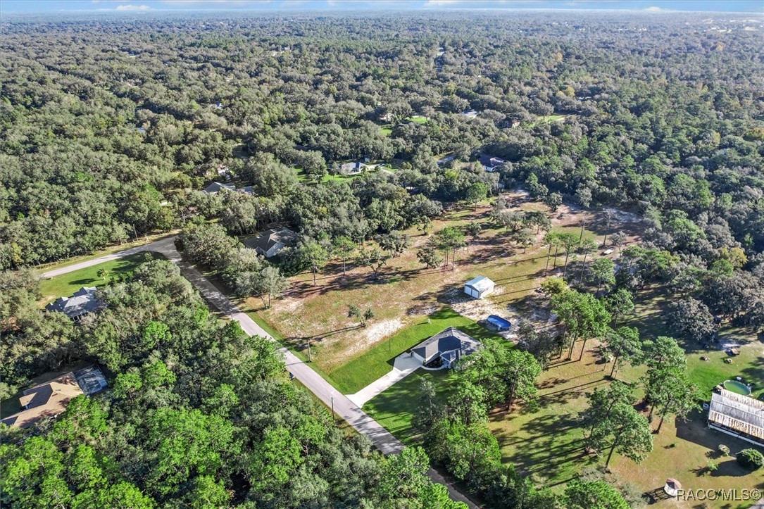 31 S Hanley Terrace, Lecanto, Florida image 8