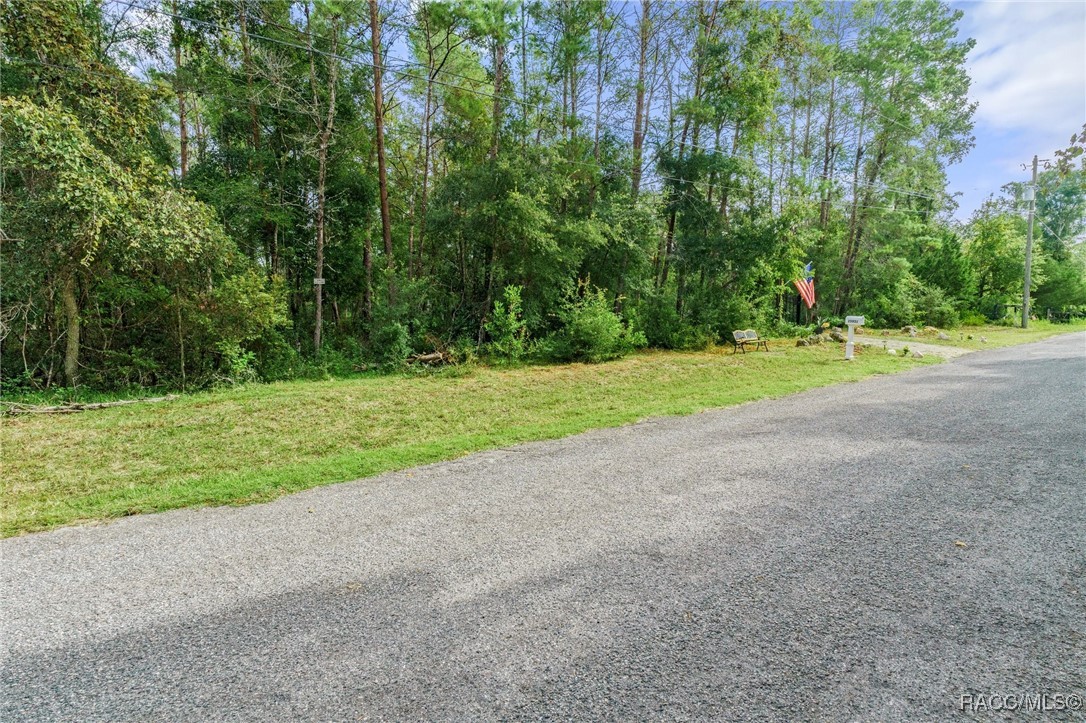 25931 Sitting Bull Street, Brooksville, Florida image 3