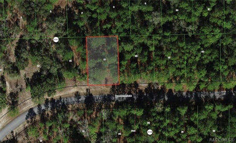 Vacant Land For Sale - 945 W Bannister Drive<br/> Citrus County, Dunnellon, FL 34434