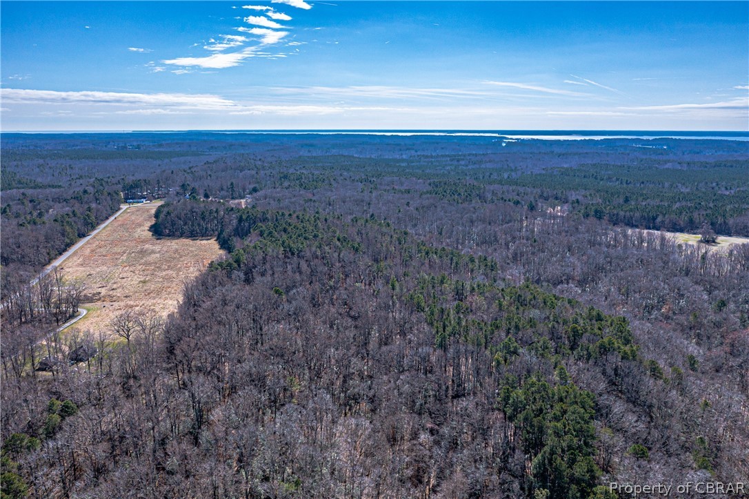 407 Loblolly Road