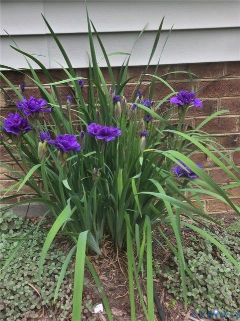 Tiny photo for 2047 Philbunny Court, Mechanicsville, VA 23111 (MLS # 2625566)