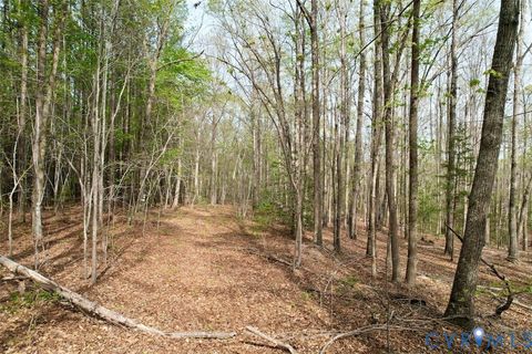Tiny photo for 3300 Plank Road, Kenbridge, VA 23944 (MLS # 2608840)