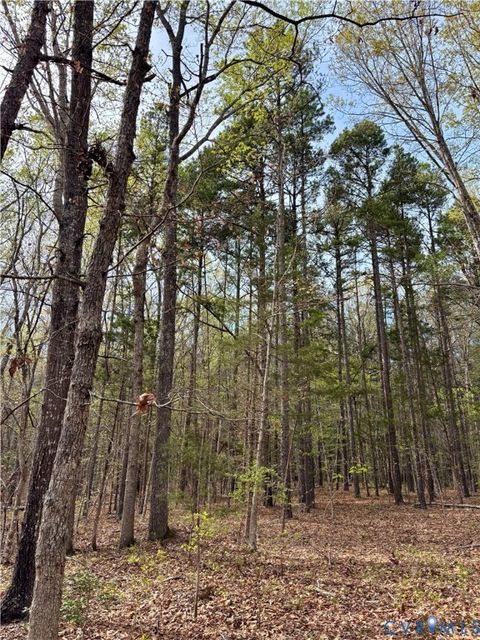 Tiny photo for 3300 Plank Road, Kenbridge, VA 23944 (MLS # 2608840)