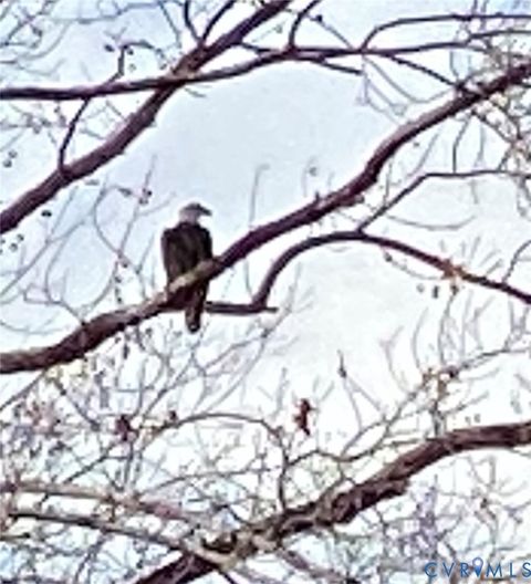 Tiny photo for 7622 Yarmouth Drive 7622 Yarmouth Drive Dr #B, Richmond, VA 23225 (MLS # 2603615)