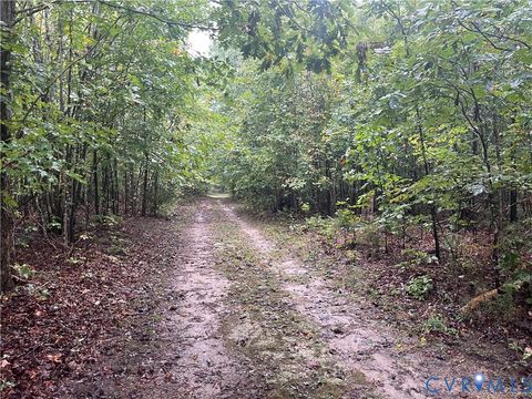 Tiny photo for 000 Rocky Ford Road, Jetersville, VA 23083 (MLS # 2516082)