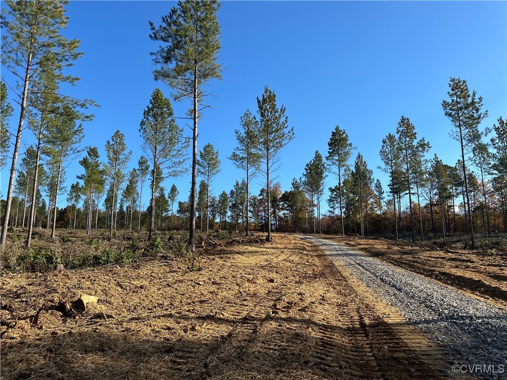 0 Amelia Springs Road
