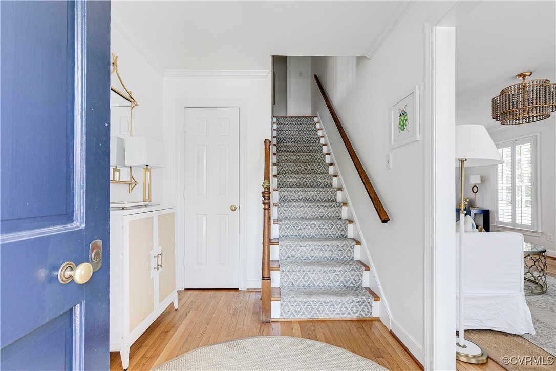 12 Albemarle Avenue