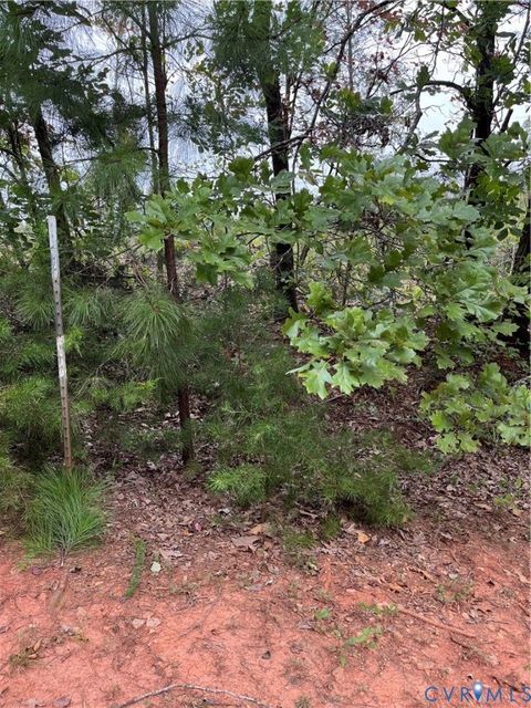 Tiny photo for 0028 Aspen Grove Road, Buckingham, VA 23901 (MLS # 2526098)