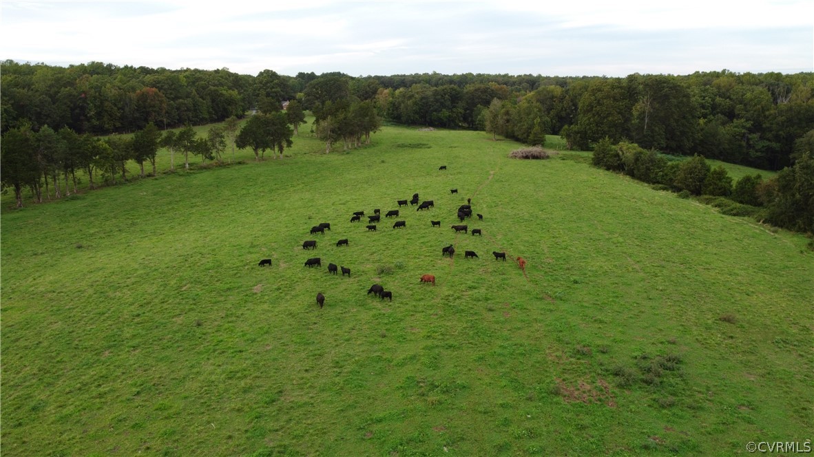 00 Perkinsville Lot 7 Road