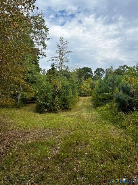 Tiny photo for 6256 Old Buckingham Road, Powhatan, VA 23139 (MLS # 2529624)