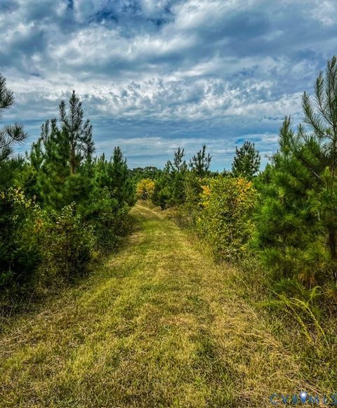 Tiny photo for 6256 Old Buckingham Road, Powhatan, VA 23139 (MLS # 2529624)