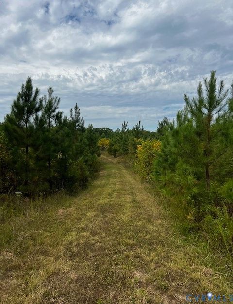 Tiny photo for 6256 Old Buckingham Road, Powhatan, VA 23139 (MLS # 2529624)