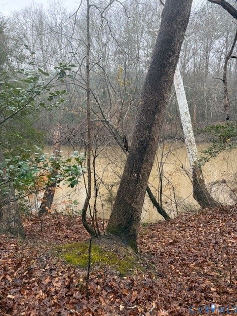 Tiny photo for 00 Cherry Hill Rd, Mc Kenney, VA 23872 (MLS # 2604042)