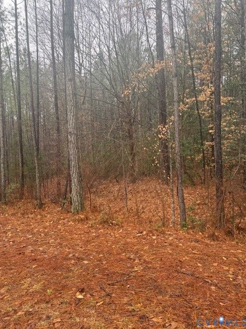 Photo of 00 Cherry Hill Rd, Mc Kenney, VA 23872 (MLS # 2604042)