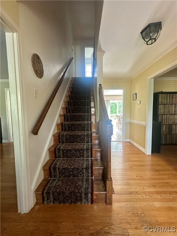 Chesterfield, Virginia 23234, United States, 4 Bedrooms Bedrooms, ,3 BathroomsBathrooms,Residential,Active,113624