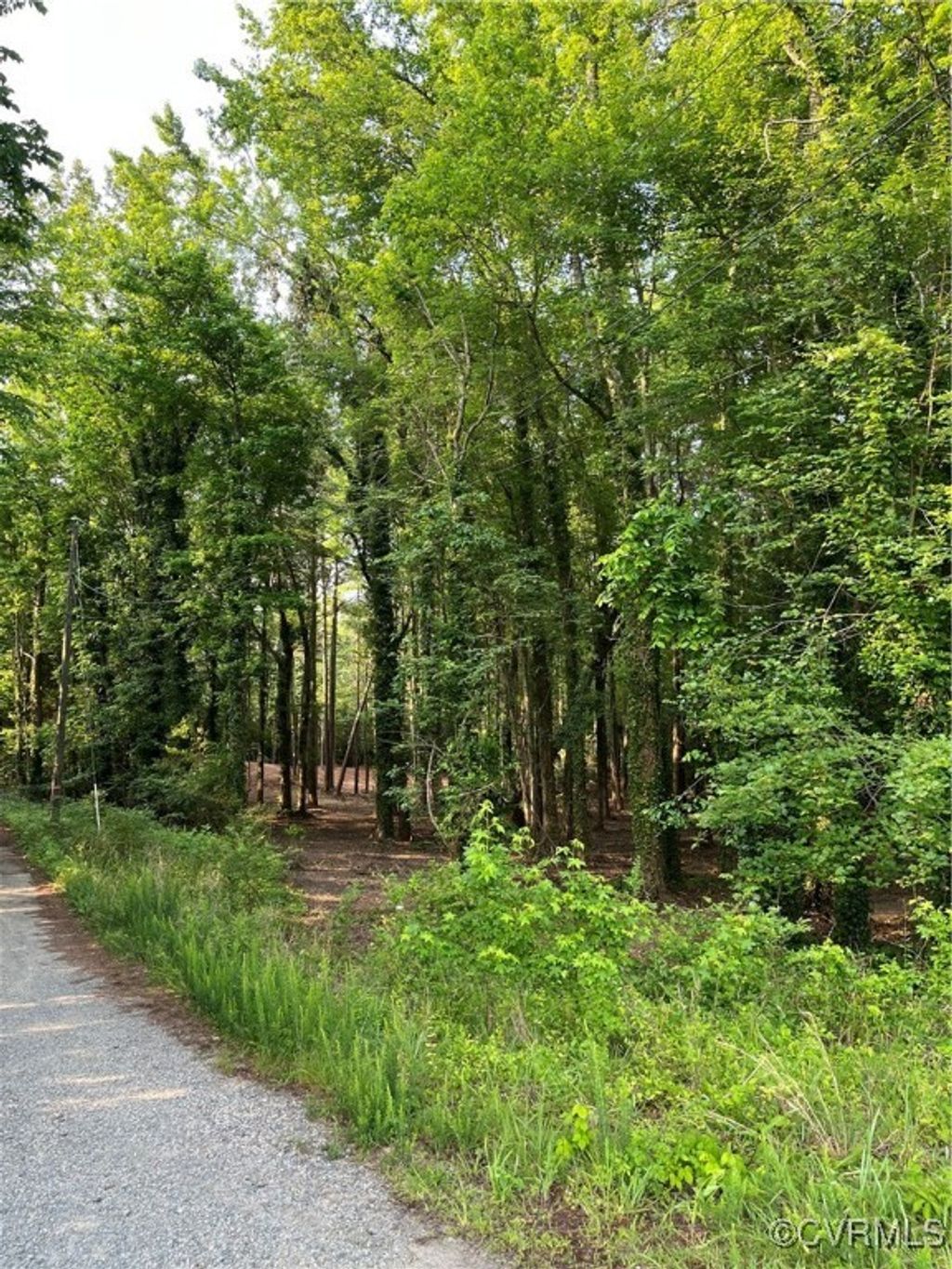 Photo for 0 Islington Rd, Warsaw, VA 22572 (MLS # 2515571)