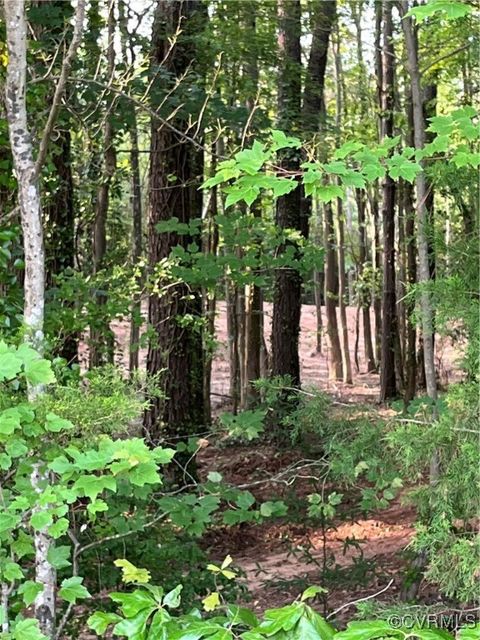 Tiny photo for 0 Islington Rd, Warsaw, VA 22572 (MLS # 2515571)